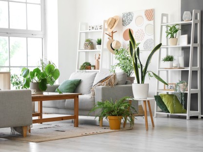 Plantas de interior: todo lo que debes saber para una decoración conectada a la naturaleza