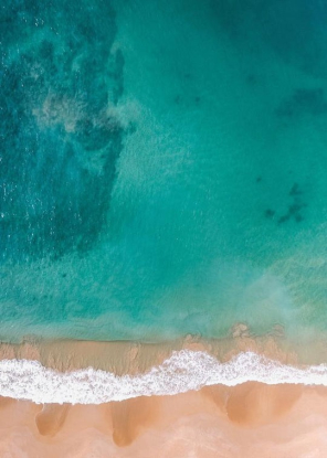 SEASIDE AIRVIEW, Artesta