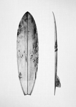 Surfboard, Artesta