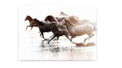 RUNNING HORSES POSTER + marco blanco 50x70, Desenio