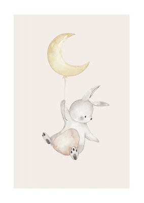 Flying Bunny , Desenio