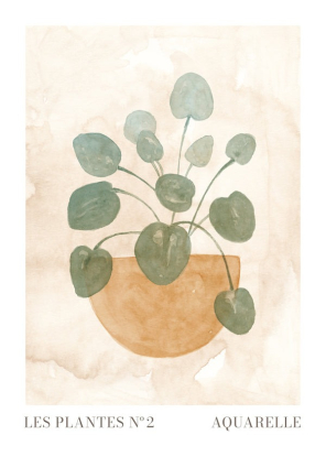 LES PLANTES Nº2, Artesta