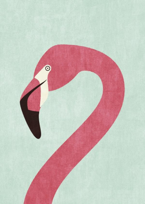 FAUNA / Flamingo, Artesta