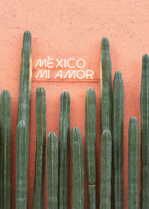 Mexico Mi Amor, Artesta