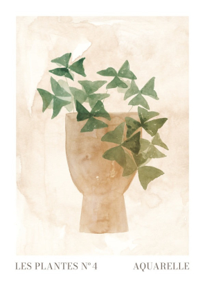 LES PLANTES Nº4, Artesta