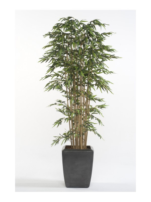 Bambú premium 210 cm, Decoplanta