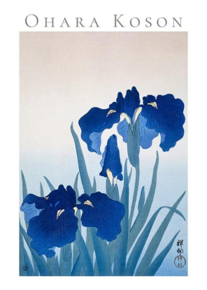 OHARA KOSON IRIS FLOWERS, Artesta