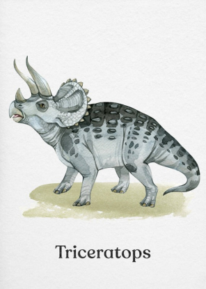 TRICERATOPS, Artesta