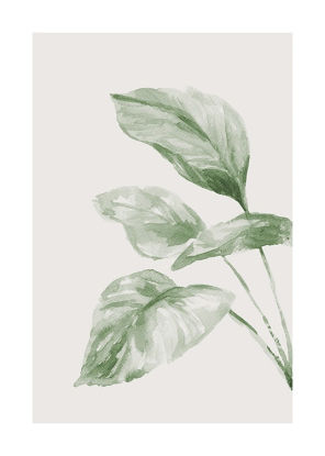 PAINTED LEAF NO2 POSTER 50x70 madera, Desenio